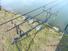carpfishing 100%